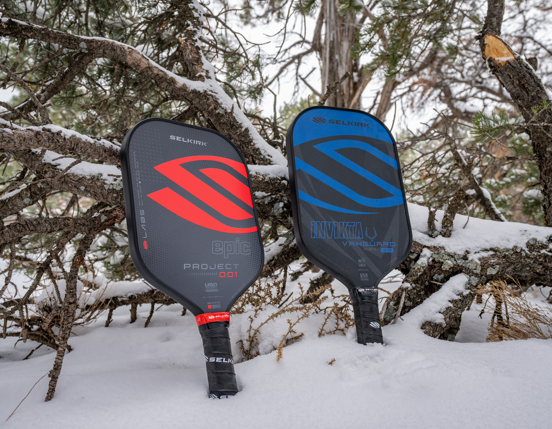 Two Selkirk Sport pickleball paddles stand upright in a snow drift. 